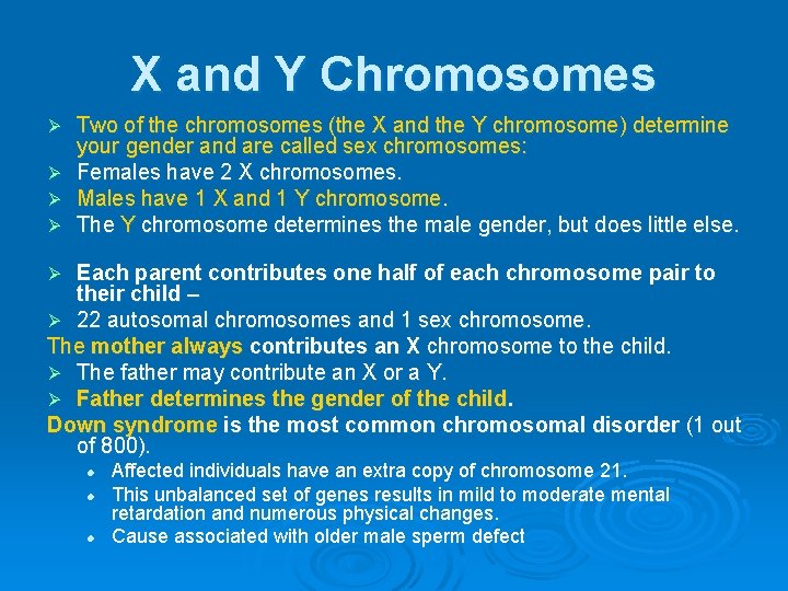 X and Y Chromosomes Two of the chromosomes (the X and the Y chromosome)