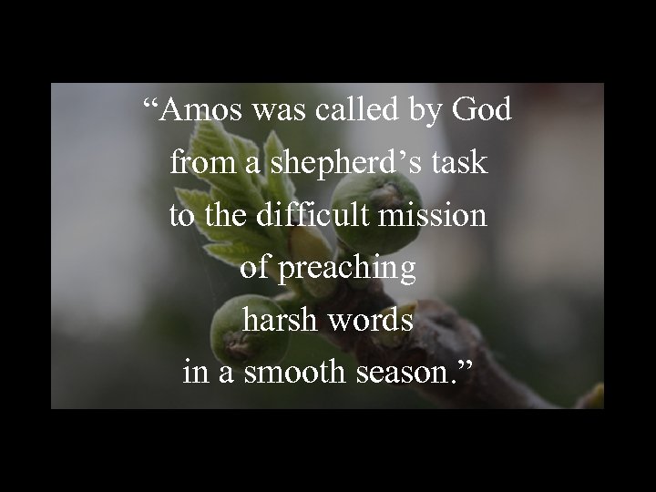“Amos was called by God from a shepherd’s task to the difficult mission of “Amos was called by God from a shepherd’s task to the difficult mission of