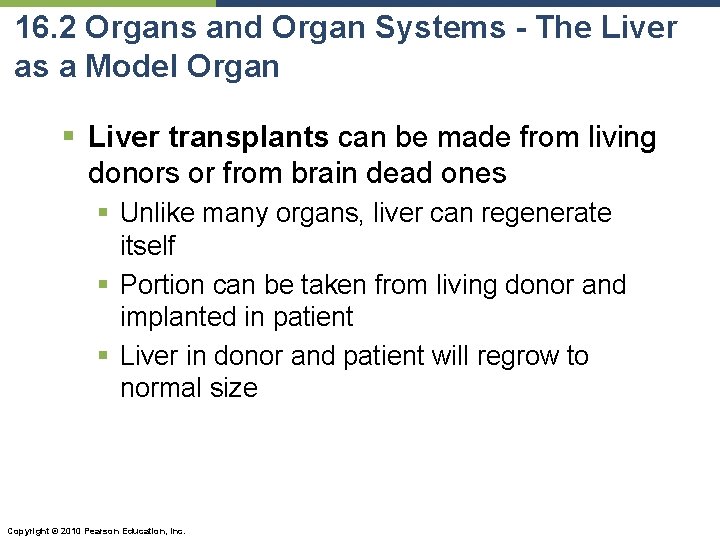 16. 2 Organs and Organ Systems - The Liver as a Model Organ §