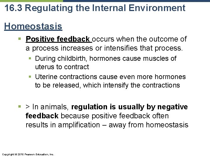 16. 3 Regulating the Internal Environment Homeostasis § Positive feedback occurs when the outcome