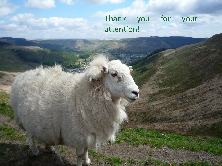 Thank you attention! for your 