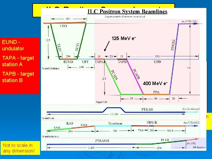 ILC Positron Source Layout EUND undulator 125 Me. V e+ TAPA - target station