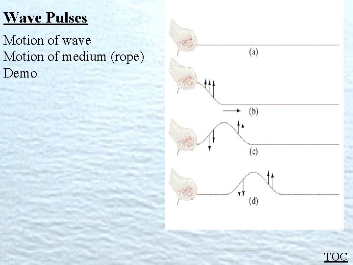Wave Pulses Motion of wave Motion of medium (rope) Demo TOC Wave Pulses Motion of wave Motion of medium (rope) Demo TOC