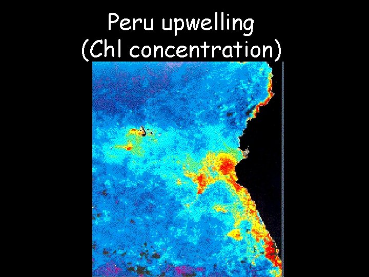 Peru upwelling (Chl concentration) 