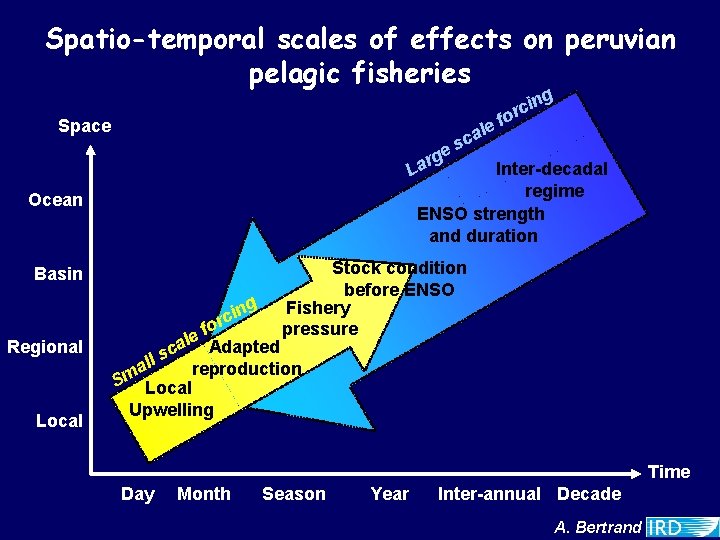 Spatio-temporal scales of effects on peruvian pelagic fisheries g Space c La Basin Local