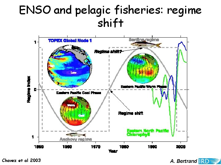ENSO and pelagic fisheries: regime shift Chavez et al 2003 A. Bertrand 