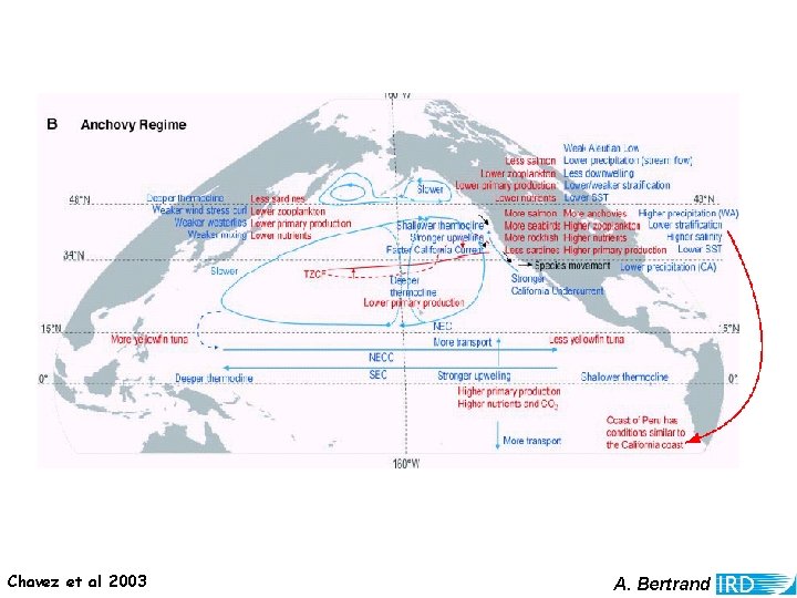 Chavez et al 2003 A. Bertrand 