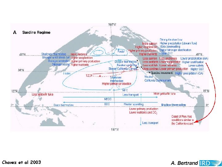 Chavez et al 2003 A. Bertrand 