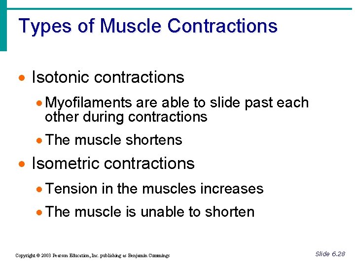 Types of Muscle Contractions · Isotonic contractions · Myofilaments are able to slide past