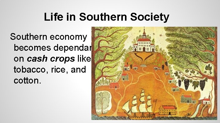 Life in Southern Society Southern economy becomes dependant on cash crops like tobacco, rice,