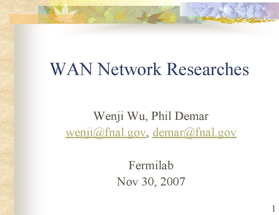 WAN Network Researches Wenji Wu, Phil Demar wenji@fnal. gov, demar@fnal. gov Fermilab Nov 30,