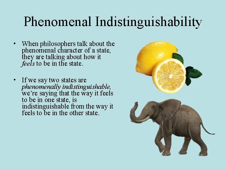 Phenomenal Indistinguishability • When philosophers talk about the phenomenal character of a state, they