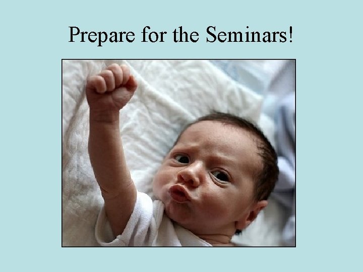 Prepare for the Seminars! 