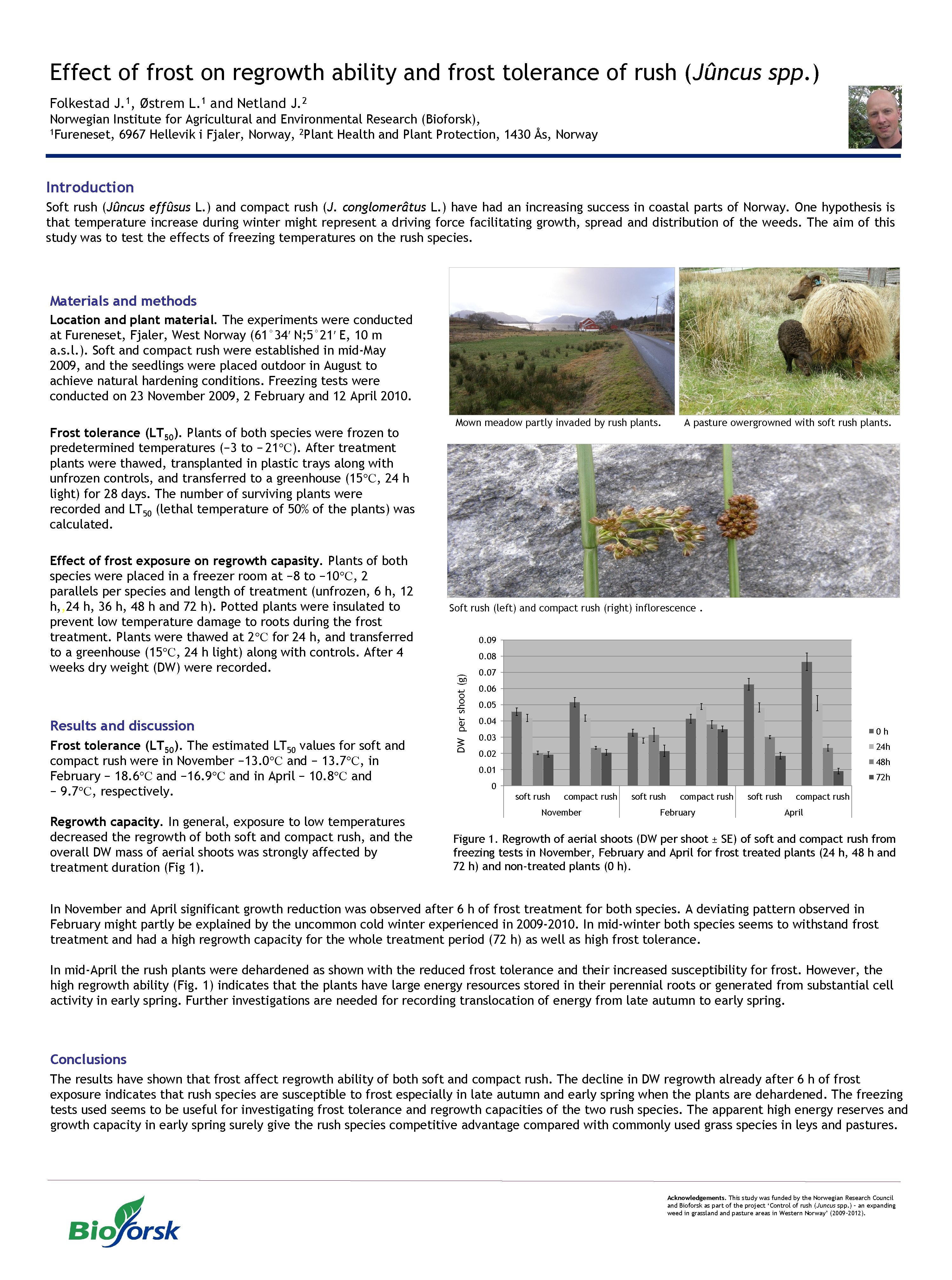 Effect of frost on regrowth ability and frost tolerance of rush (Jûncus spp. )