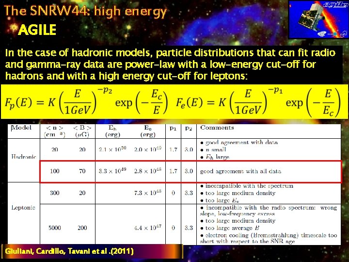 The SNRW 44: high energy AGILE In the case of hadronic models, particle distributions