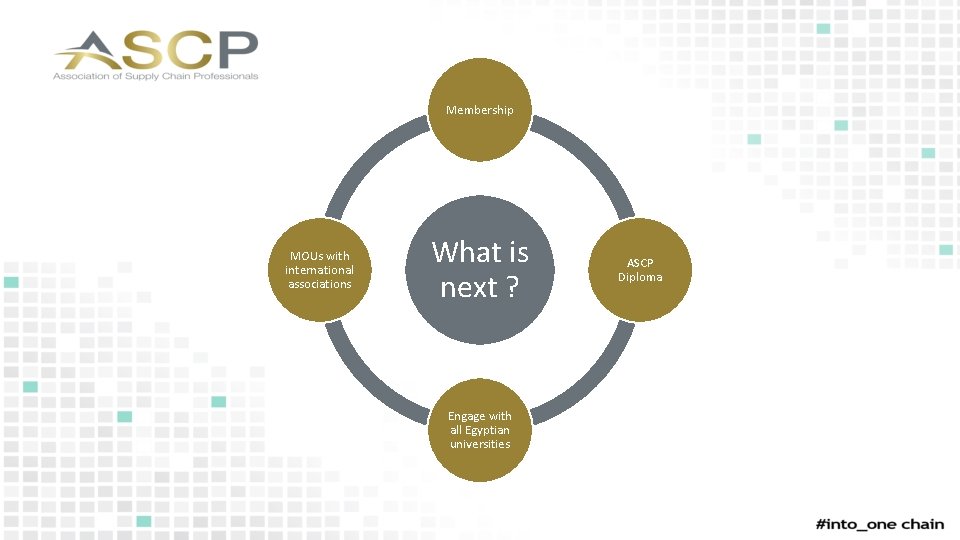 Membership MOUs with international associations What is next ? Engage with all Egyptian universities