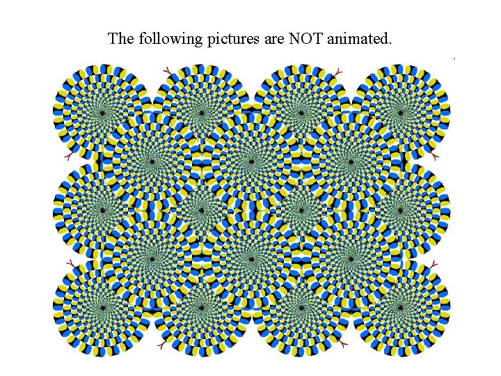 The following pictures are NOT animated. The following pictures are NOT animated.