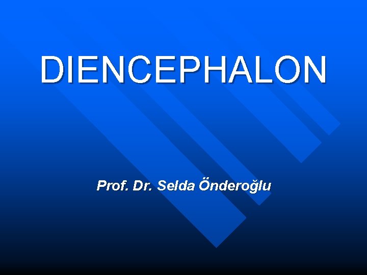 DIENCEPHALON Prof. Dr. Selda Önderoğlu 