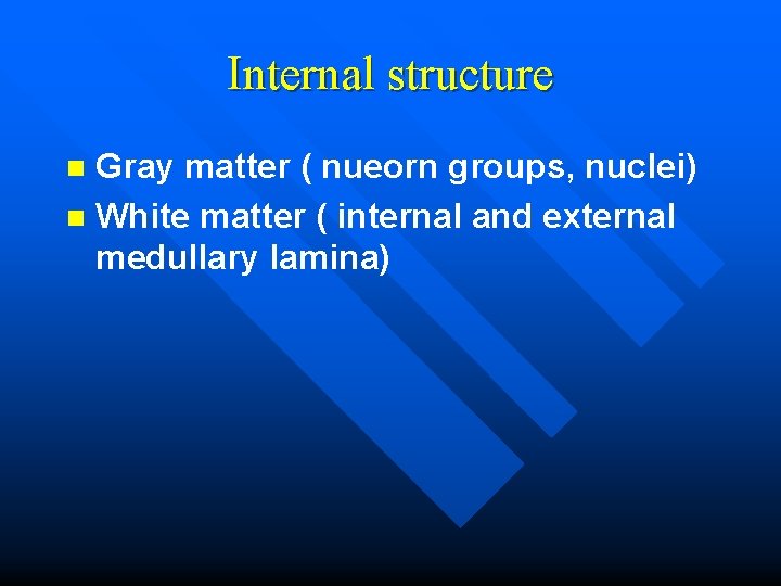 Internal structure Gray matter ( nueorn groups, nuclei) n White matter ( internal and