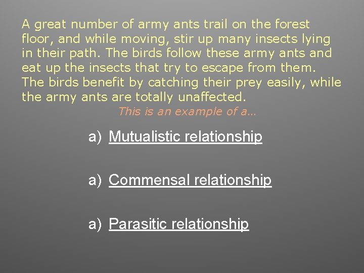 A great number of army ants trail on the forest floor, and while moving,