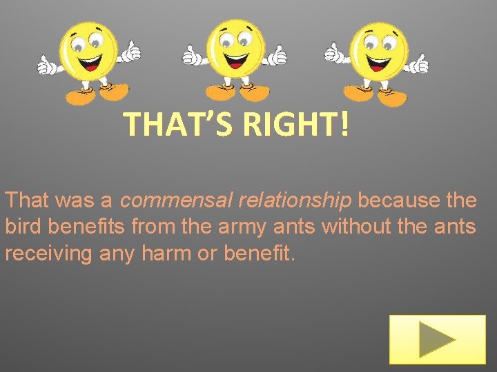 THAT’S RIGHT! That was a commensal relationship because the bird benefits from the army