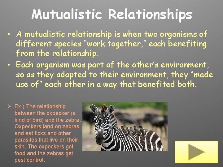 Mutualistic Relationships • A mutualistic relationship is when two organisms of different species “work