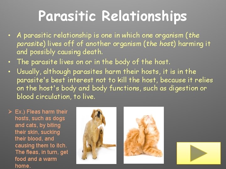 Parasitic Relationships • A parasitic relationship is one in which one organism (the parasite)