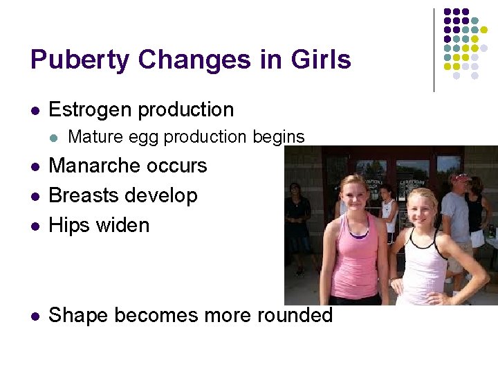 Puberty Changes in Girls l Estrogen production l Mature egg production begins l Manarche