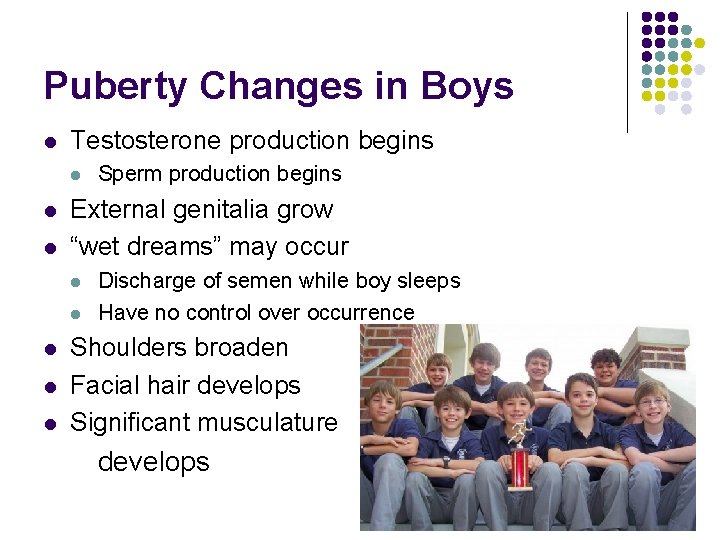 Puberty Changes in Boys l Testosterone production begins l l l External genitalia grow