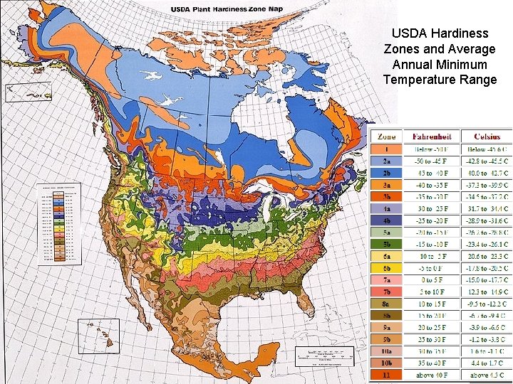 USDA Hardiness Zones and Average Annual Minimum Temperature Range 