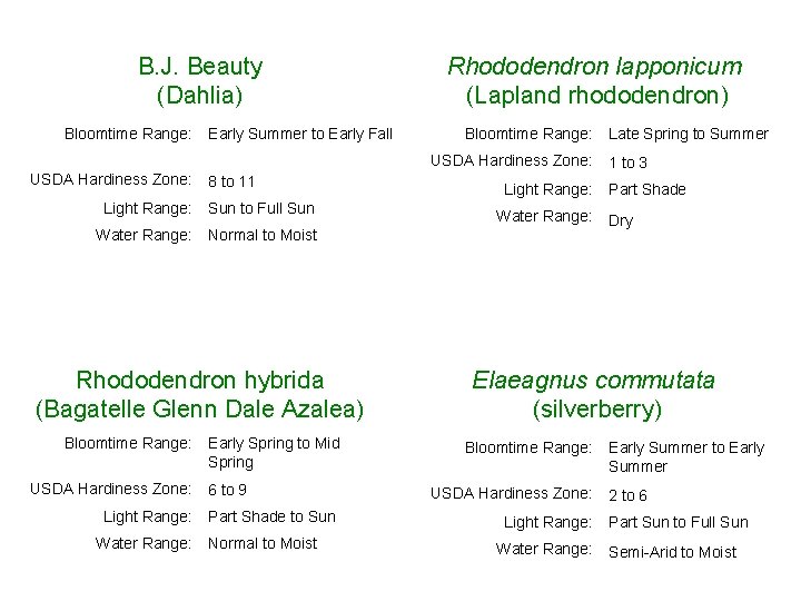 B. J. Beauty (Dahlia) Bloomtime Range: USDA Hardiness Zone: Early Summer to Early Fall