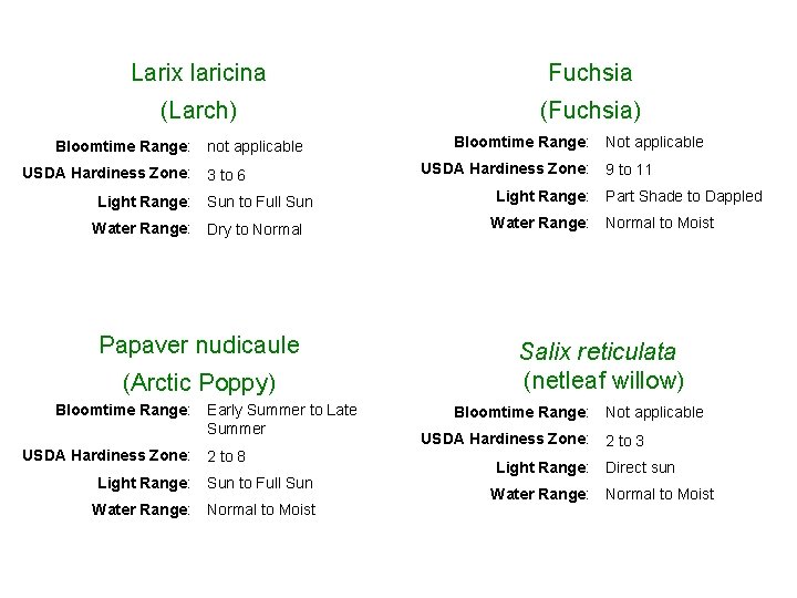 Larix laricina Fuchsia (Larch) (Fuchsia) Bloomtime Range: USDA Hardiness Zone: Light Range: Water Range: