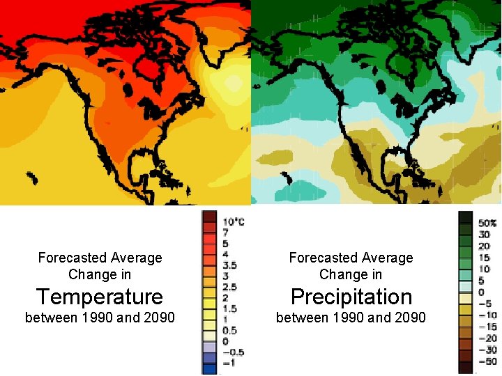 Forecasted Average Change in Temperature Precipitation between 1990 and 2090 