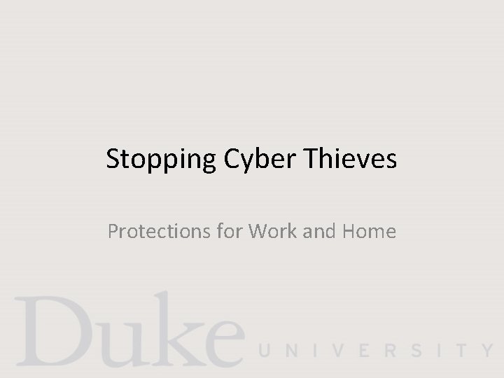 Stopping Cyber Thieves Protections for Work and Home 