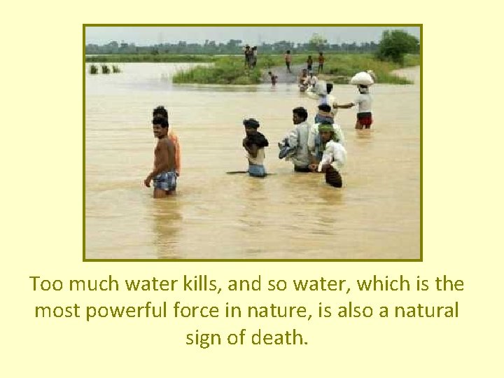 Too much water kills, and so water, which is the most powerful force in Too much water kills, and so water, which is the most powerful force in