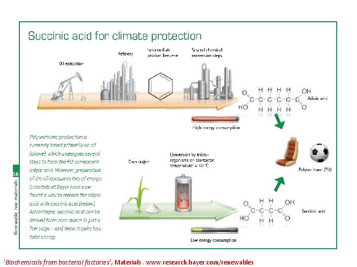 ‘Biochemicals from bacterial factories’, Materials. www. research. bayer. com/renewables 