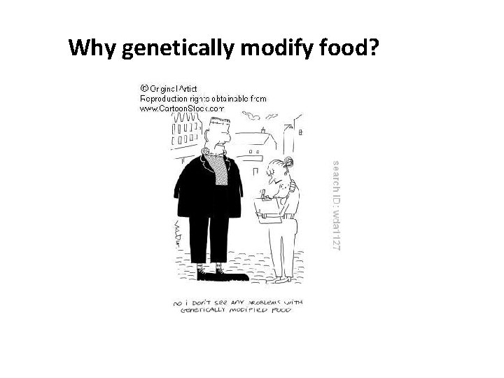 Why genetically modify food? 