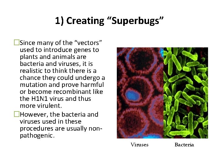 1) Creating “Superbugs” �Since many of the “vectors” used to introduce genes to plants