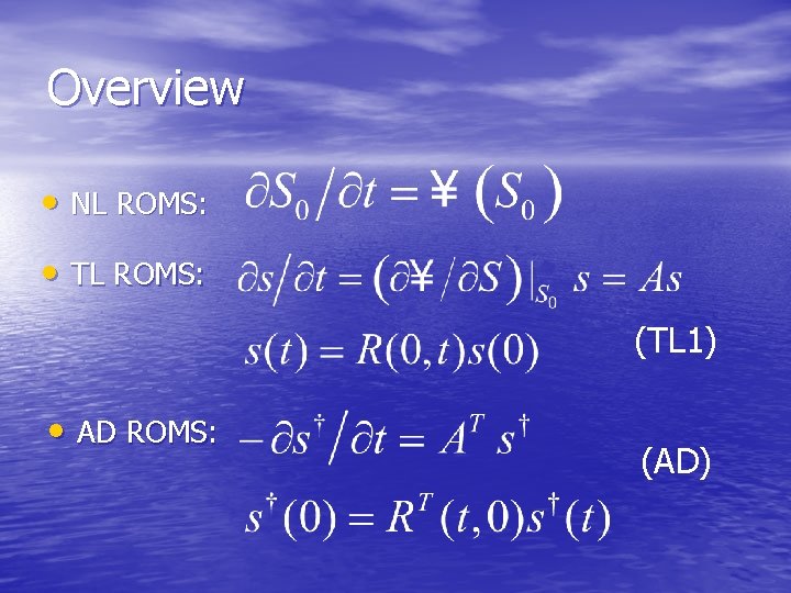 Overview • NL ROMS: • TL ROMS: (TL 1) • AD ROMS: (AD) 