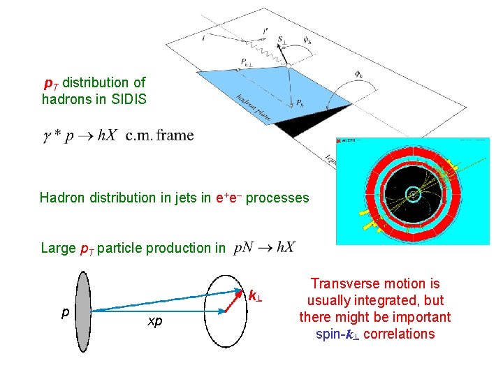 p. T distribution of hadrons in SIDIS Hadron distribution in jets in e+e– processes