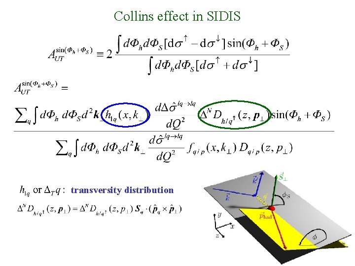 Collins effect in SIDIS transversity distribution 