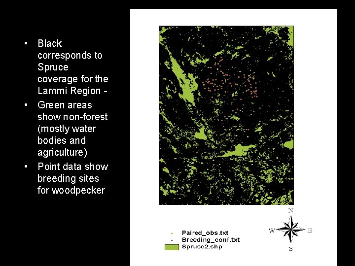  • Black corresponds to Spruce coverage for the Lammi Region • Green areas