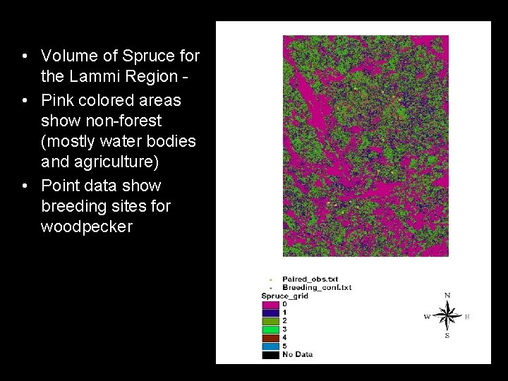  • Volume of Spruce for the Lammi Region • Pink colored areas show