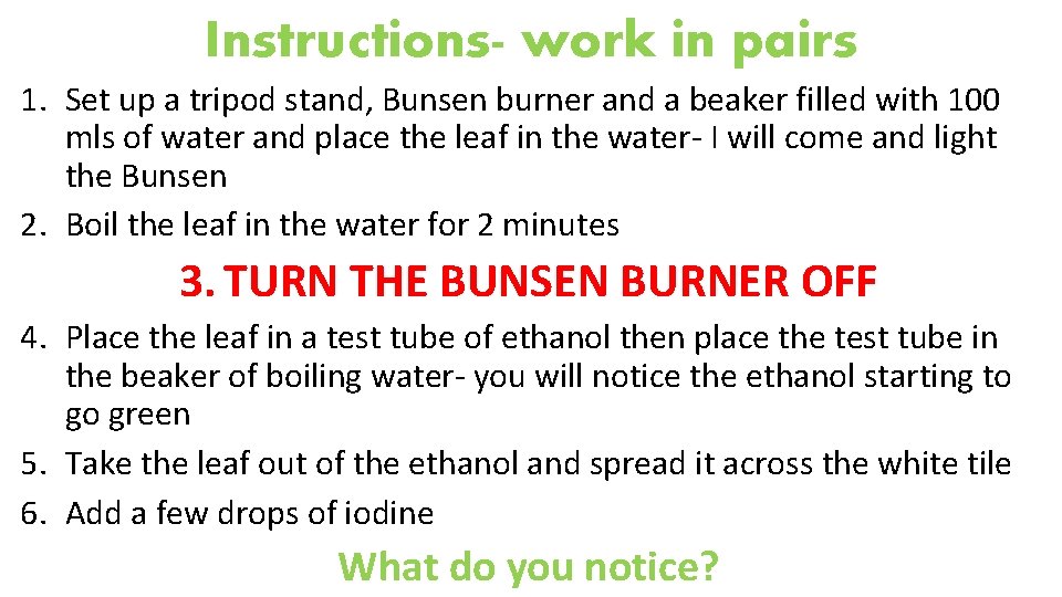 Instructions- work in pairs 1. Set up a tripod stand, Bunsen burner and a