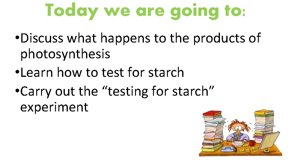 Today we are going to: • Discuss what happens to the products of photosynthesis