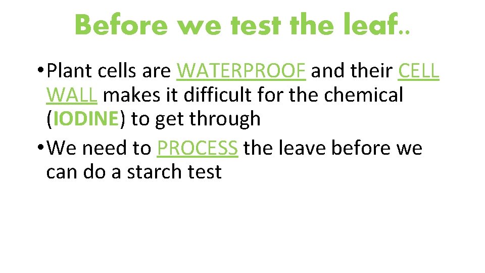 Before we test the leaf. . • Plant cells are WATERPROOF and their CELL