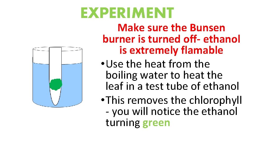 EXPERIMENT Make sure the Bunsen burner is turned off- ethanol is extremely flamable •
