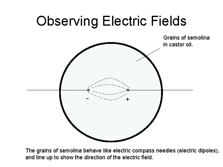 Observing Electric Fields Grains of semolina in castor oil. - + The grains of