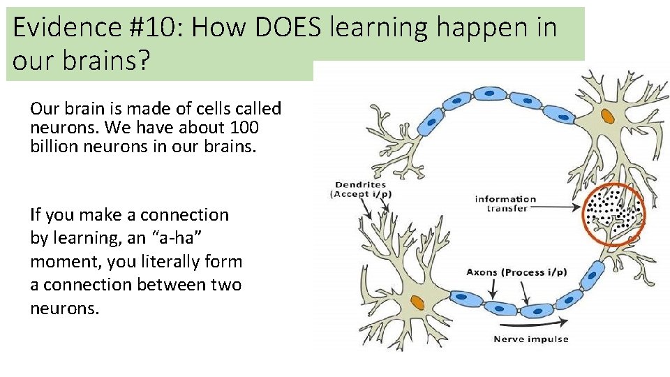 Evidence #10: How DOES learning happen in our brains? Our brain is made of