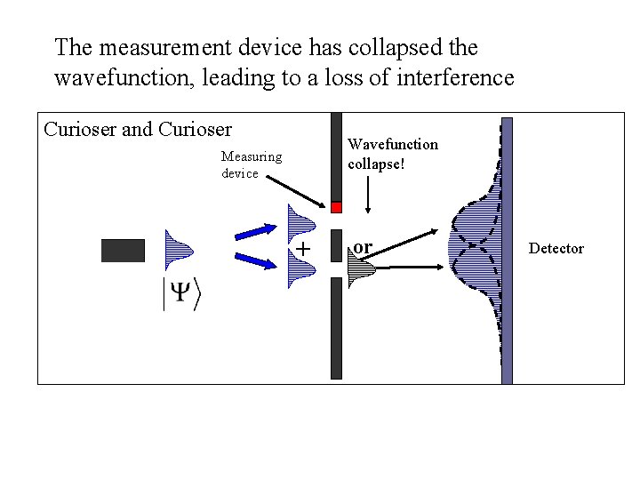 The measurement device has collapsed the wavefunction, leading to a loss of interference Curioser